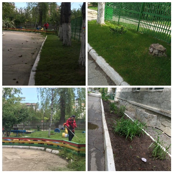 Menținerea curățeniei pe teritoriu