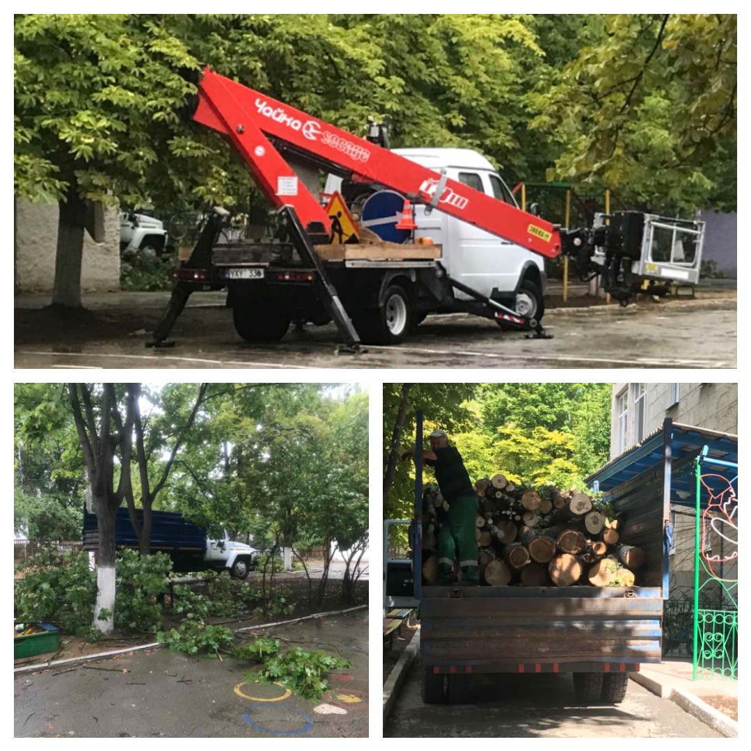 Lucrările de defrișare și curățare a copacilor